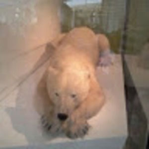 Meet your Posher, Talina